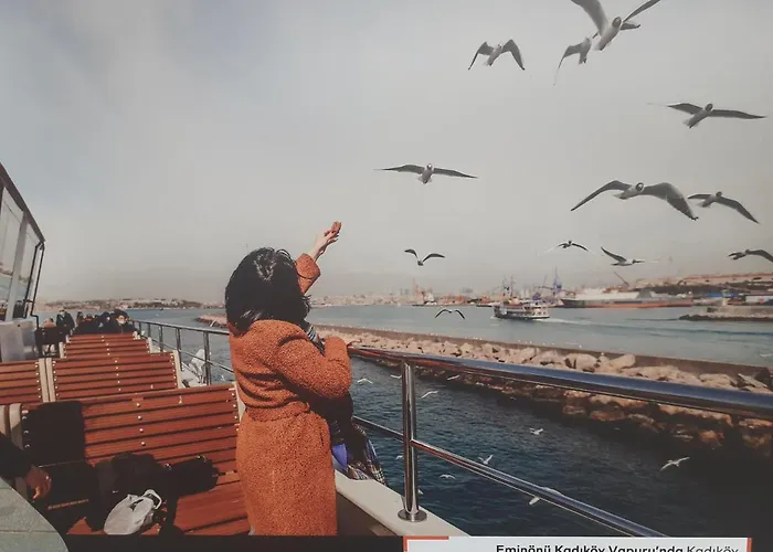 Апарт-отель Medusa 3*