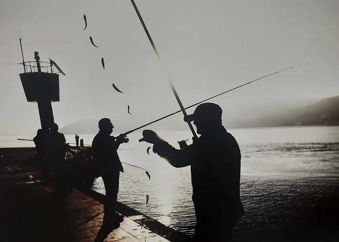 Medusa 3* Стамбул